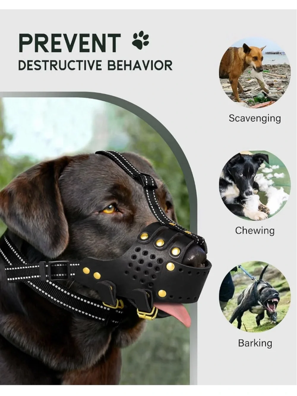Black Leather Basket Dog Muzzle with Gold Rivets and Buckles